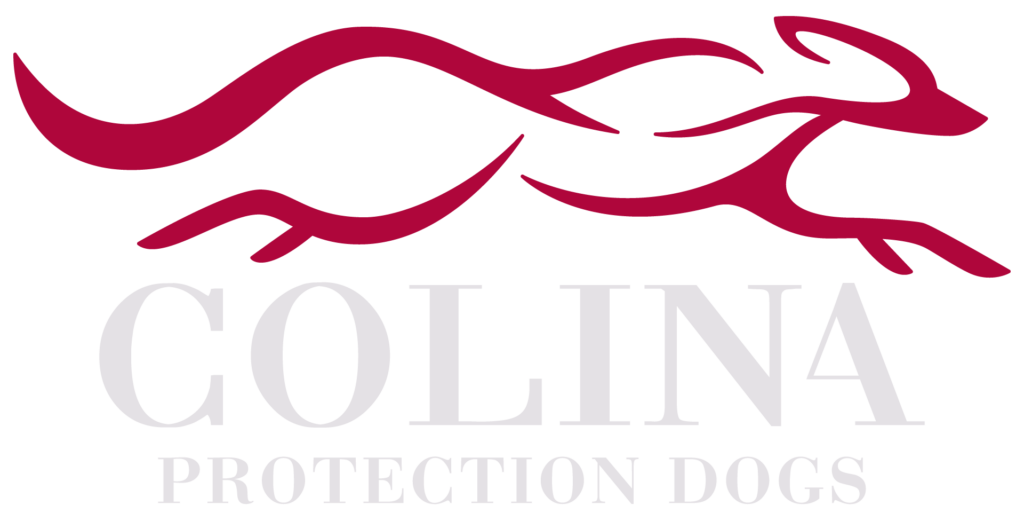 Protection Dogs