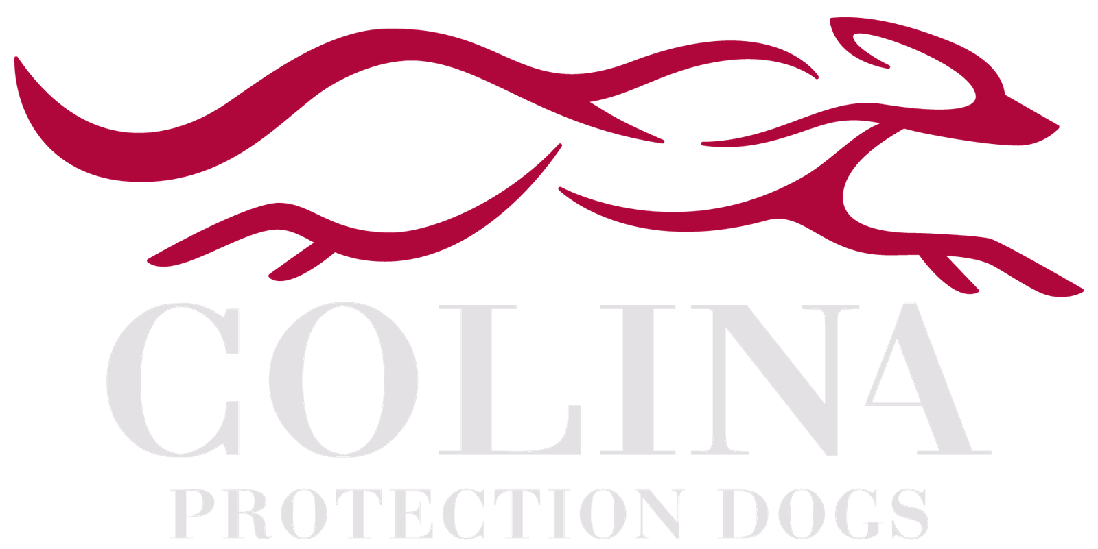 Protection Dogs